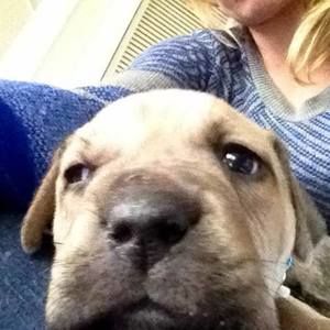 Meet your Posher, Leah